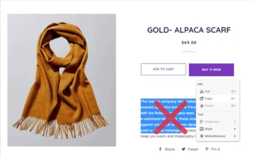 Cozy AntiTheft