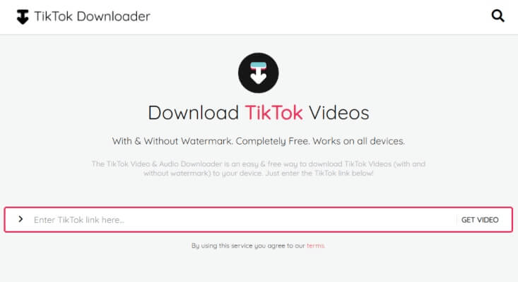 TikTok Downloader
