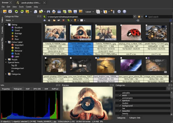 XnView MP